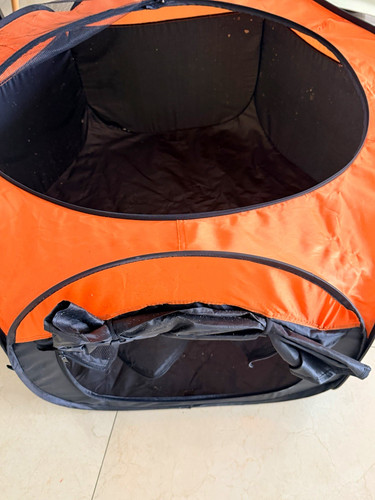 Orange black pop fabric pet - fabric,