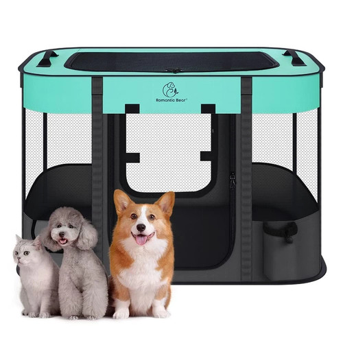 Large pop foldable pet - large, up