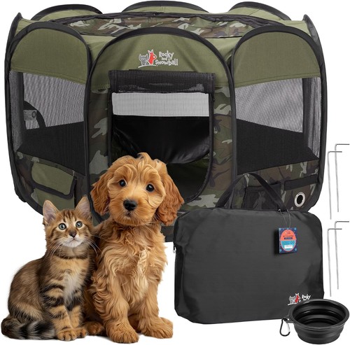 Rocky snowball pop up - rocky,