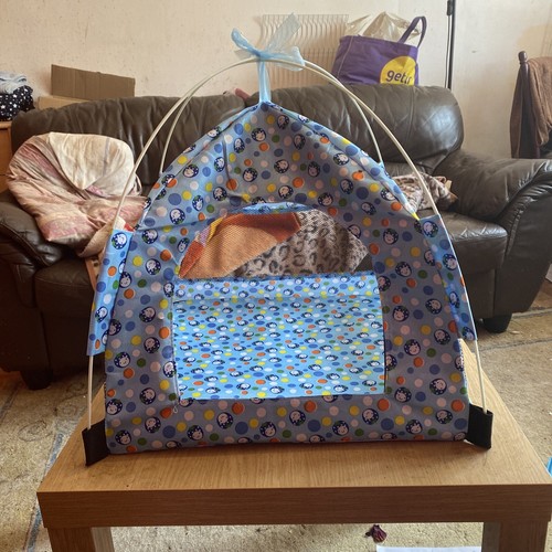 Pop pet tent - up,