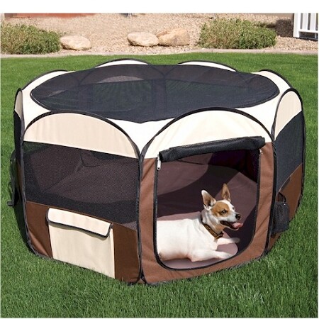 Ware deluxe pop folding pet - ware, up