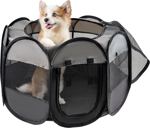 Lafyette usa based dog cat - dog,