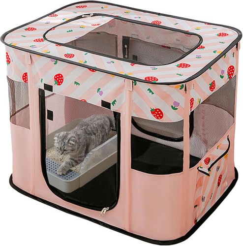 Dog and cat - and,