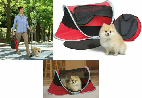 Pop portable pet fun play - pop,